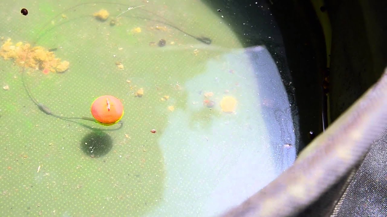 Goo Korda par Bruno M&eacute;dou