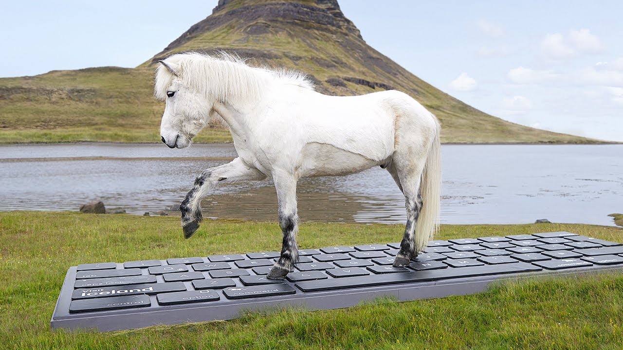 Отправьте электронное письмо в компанию Iceland&rsquo;s Horses через OutHorse.