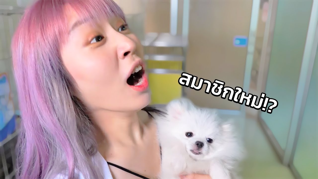 ท่าน CEO ตกหลุมรักลูกหมา อยากได้หมามาเป็นลูก!!