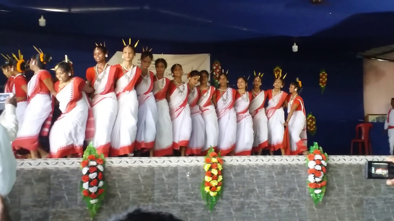 Jhumoir (assam tea tribe culture dance)