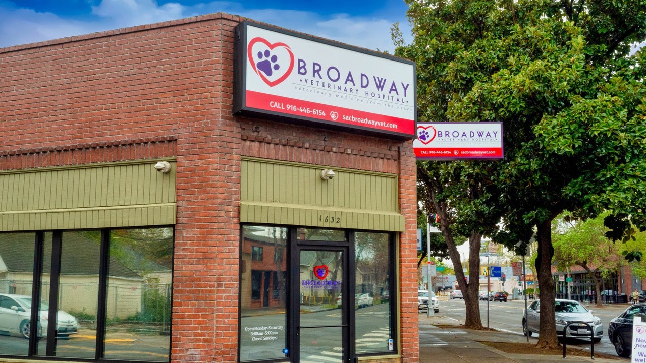 Broadway Vet Hospital - Dave Soto Productions