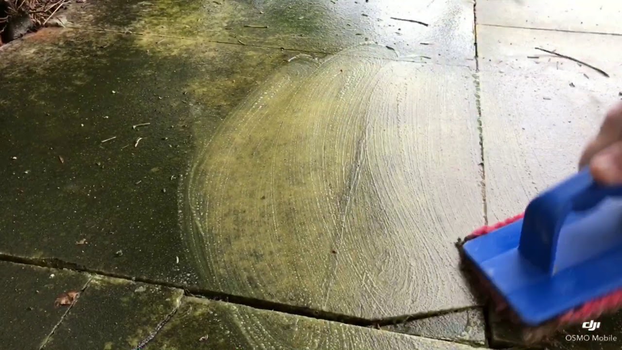 Mold OFF - Moosentferner