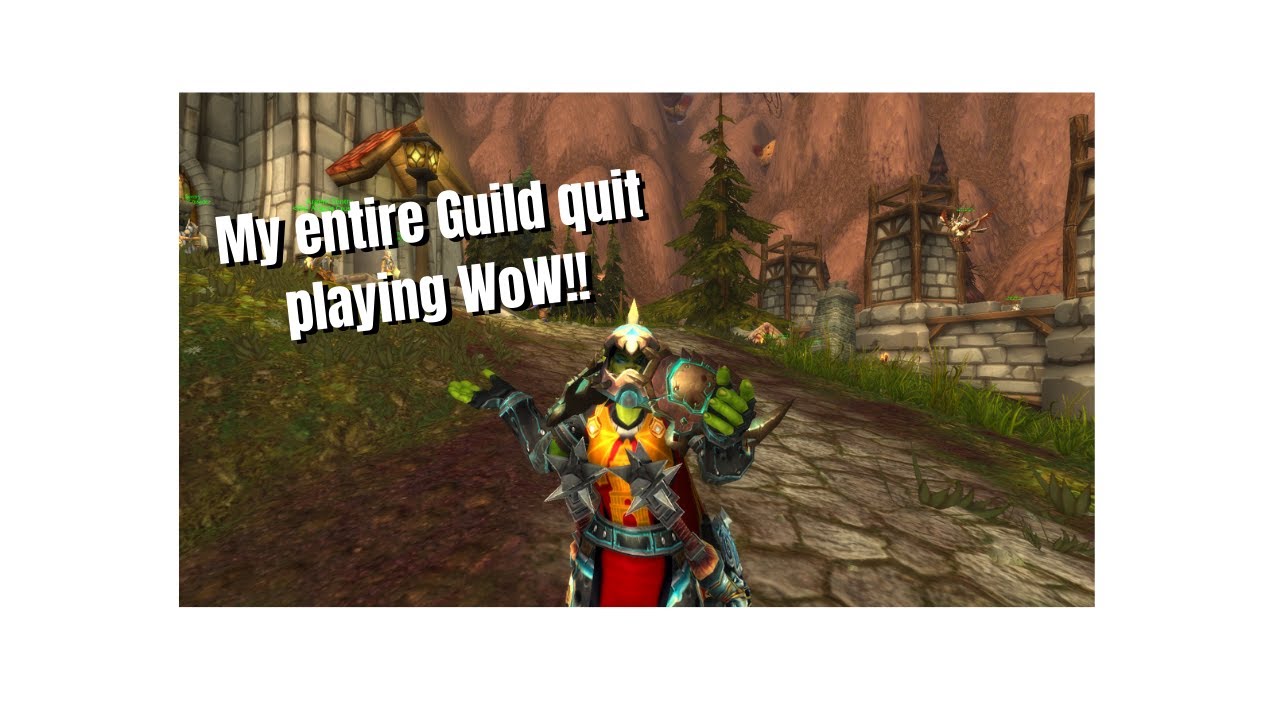 My entire guild QUIT PLAYING WOW!!!