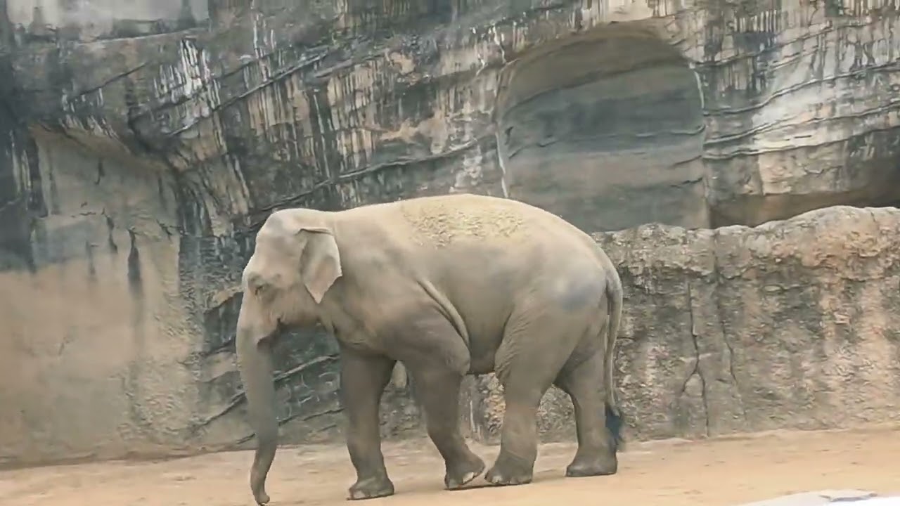 로스트밸리 풀영상