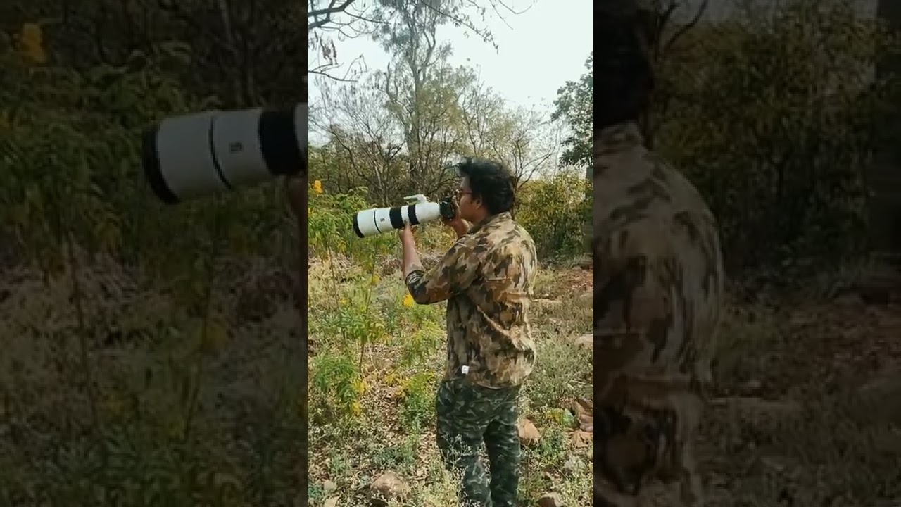 Amrabad Tiger Reserve 💚 || Telangana || #nature #trending #youtubeshorts #wildlife