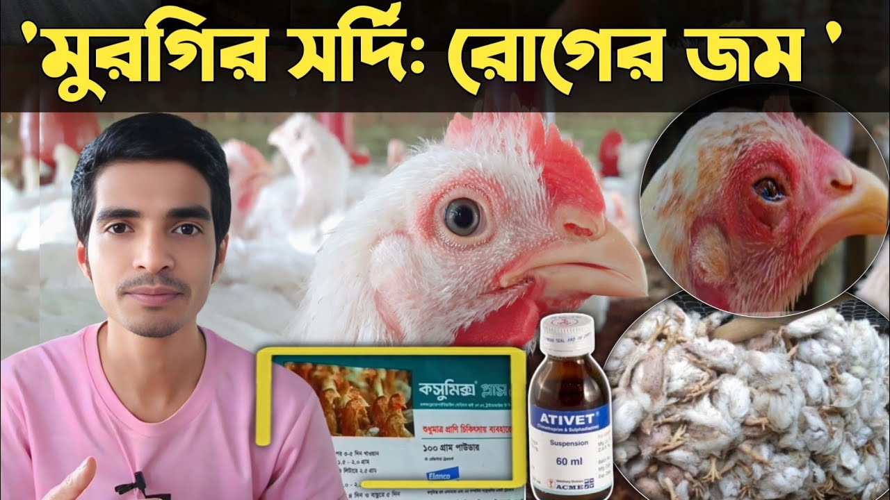 ২৪ ঘন্টায় সর্দি রোগের সমাধান! ২০২৫ সর্দি রোগের সেরা ৩টি ঔষধ@khamarBari4k