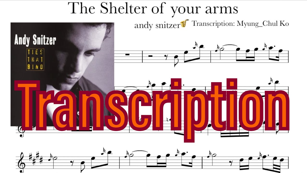 Andy Snitzer - The Shelter of you arms (Transcription)