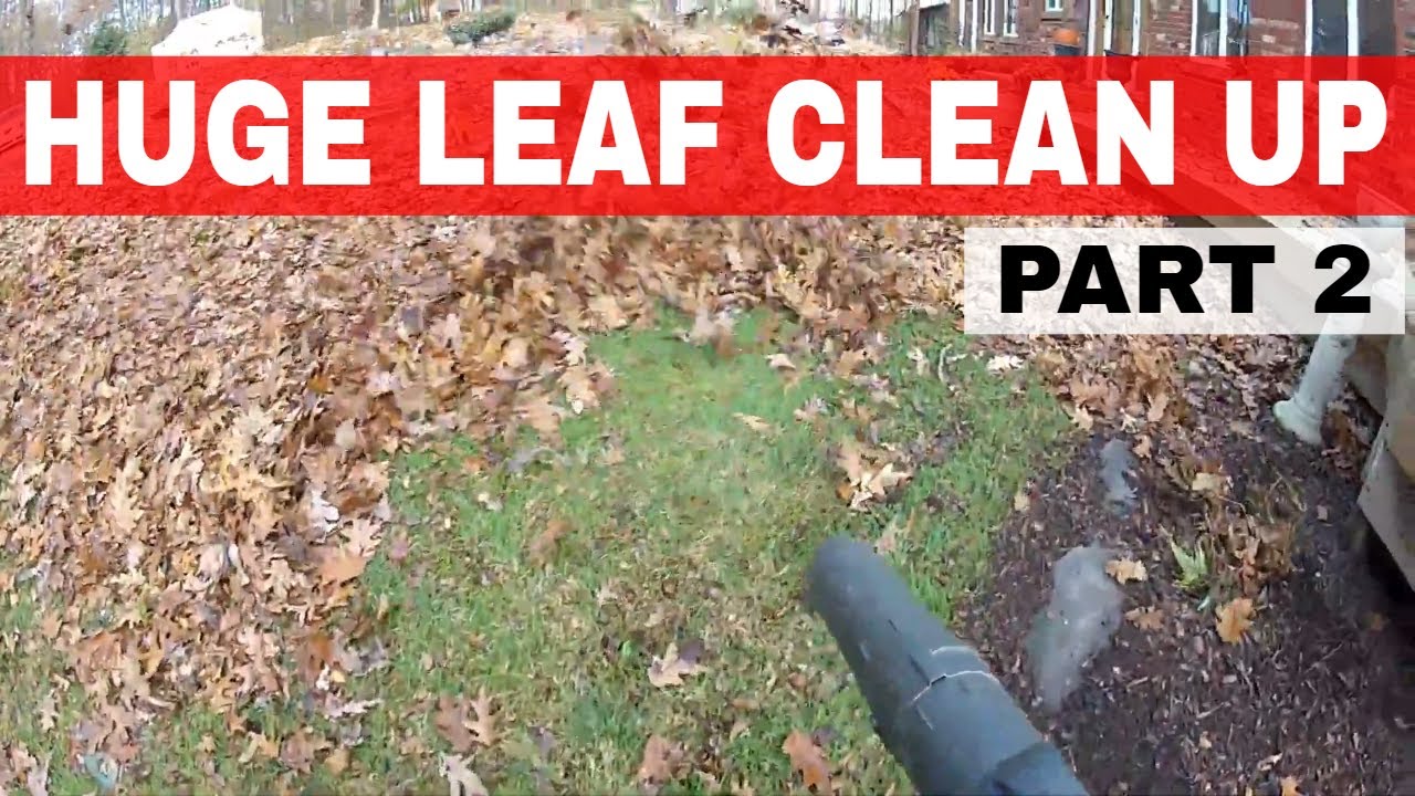 Huge Leaf Clean-up - Husqvarna 580BTS In Action - Part 3