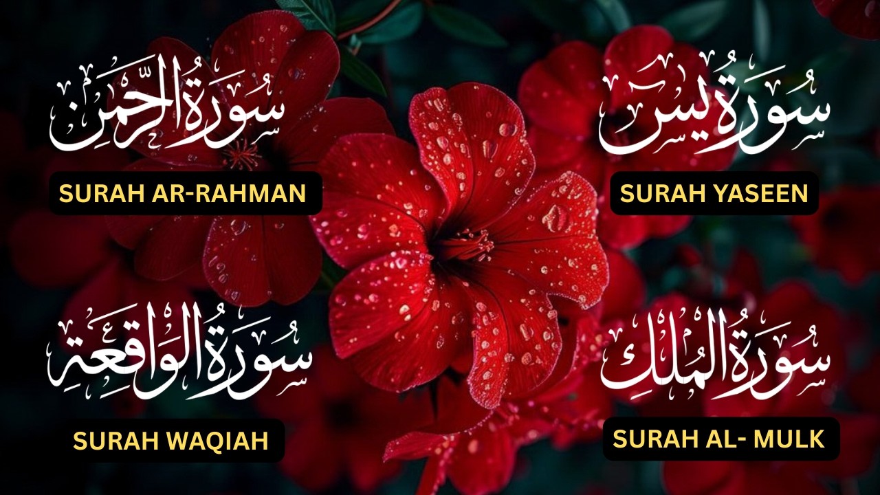 Surah Yaseen♥️, Surah Rahman♥️, Surah Waqiah♥️, Surah Al Mulk♥️| Beautiful Soothing Tilawat ❤️