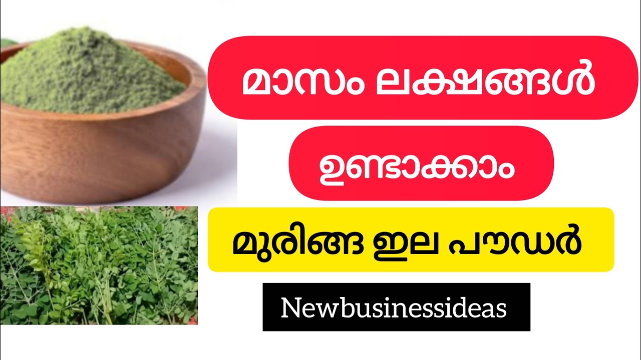 മാസം ലക്ഷങ്ങൾ ഉണ്ടാക്കാൻ ഒരു ബെസ്റ്റ് ബിസിനസ്‌ | Muringa powder business 