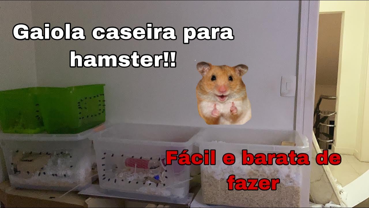 Gaiola caseira para hamster! Facil e barata