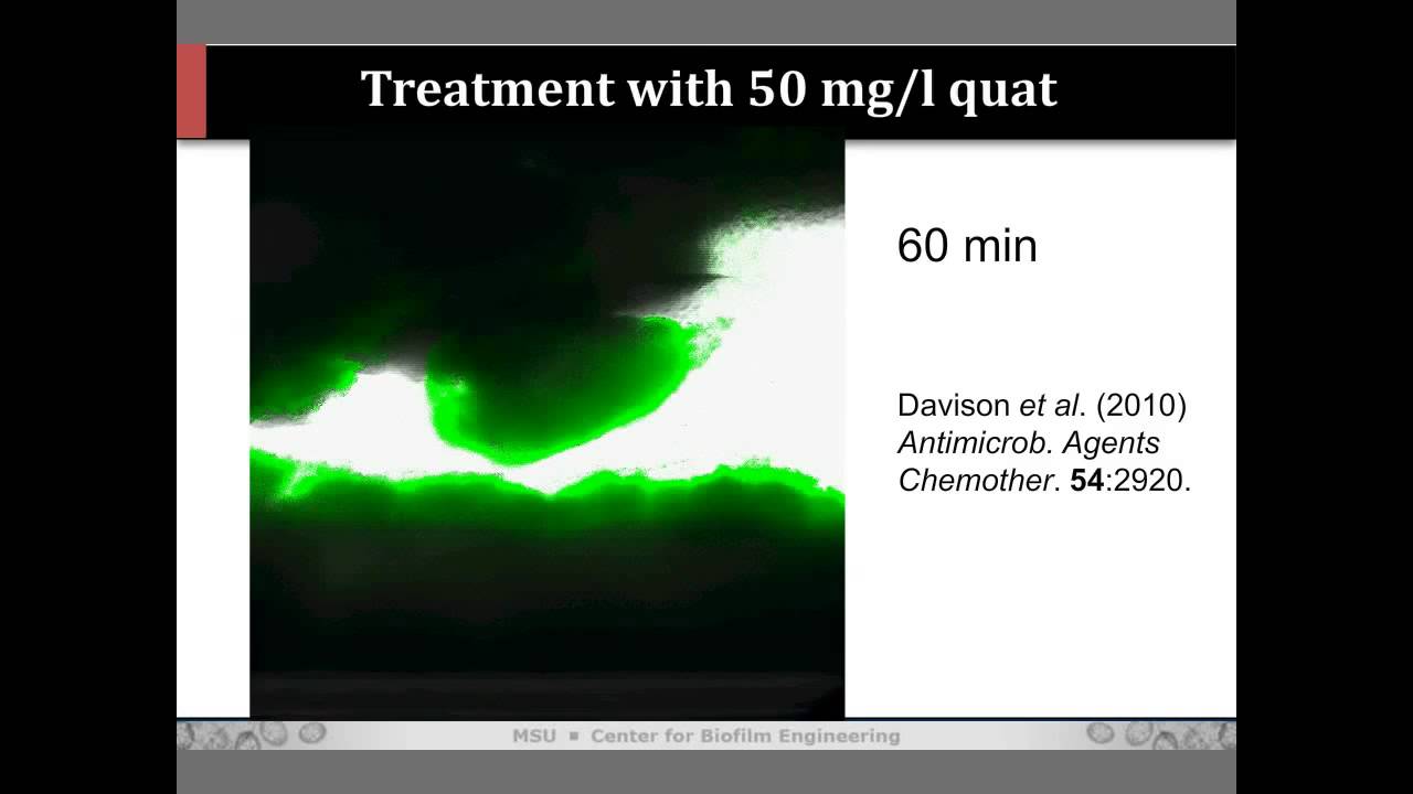 Phil Stewart - Keynote - The Science of Biofilm Control with Antimicrobial Agents
