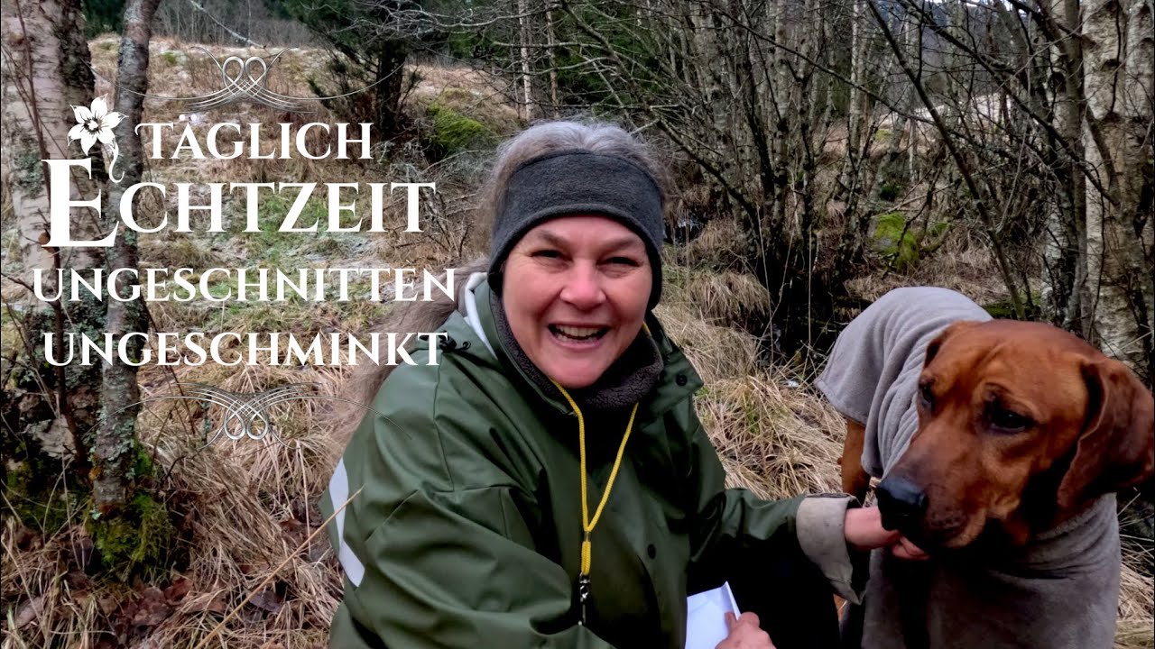 Echtzeit: Heiligabend Besuch mit 🐕Hund Odin, die Pferde🐴 und mir👩‍🌾! | TV Serie, wahres Leben