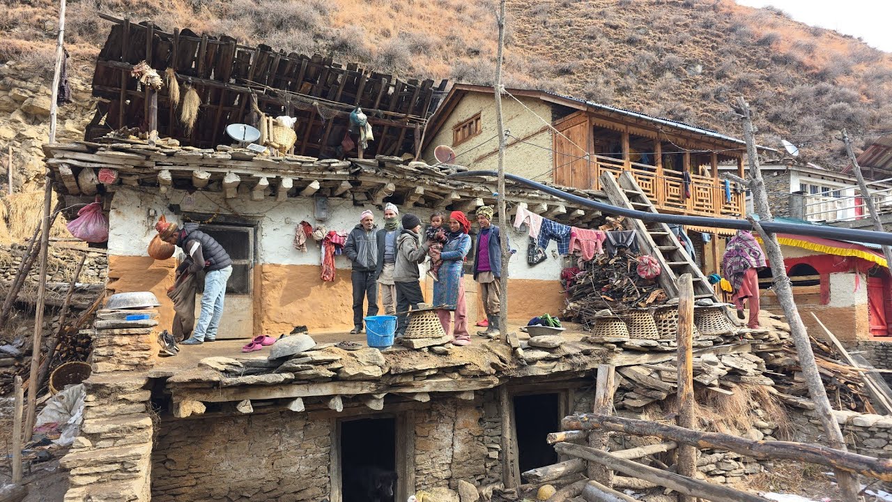 Daily Activities Of Himalayan Village || Organic Himalayan Village Life In Jumla, Nepal 🇳🇵 