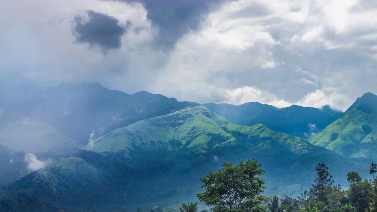 Homestay Namaha - Meppadi - India