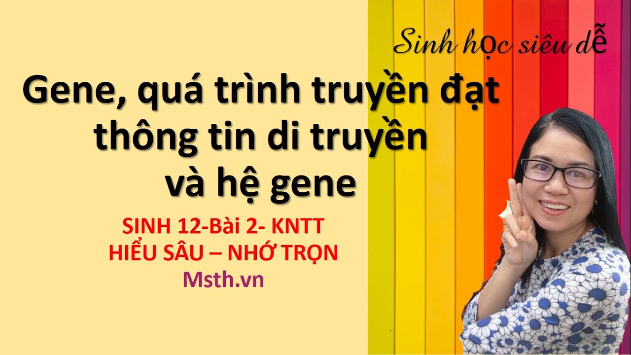 Sinh 12 - Bài 2 - Gene - Quá trình truyền đạt thông tin di truyền và hệ gene|KNTT