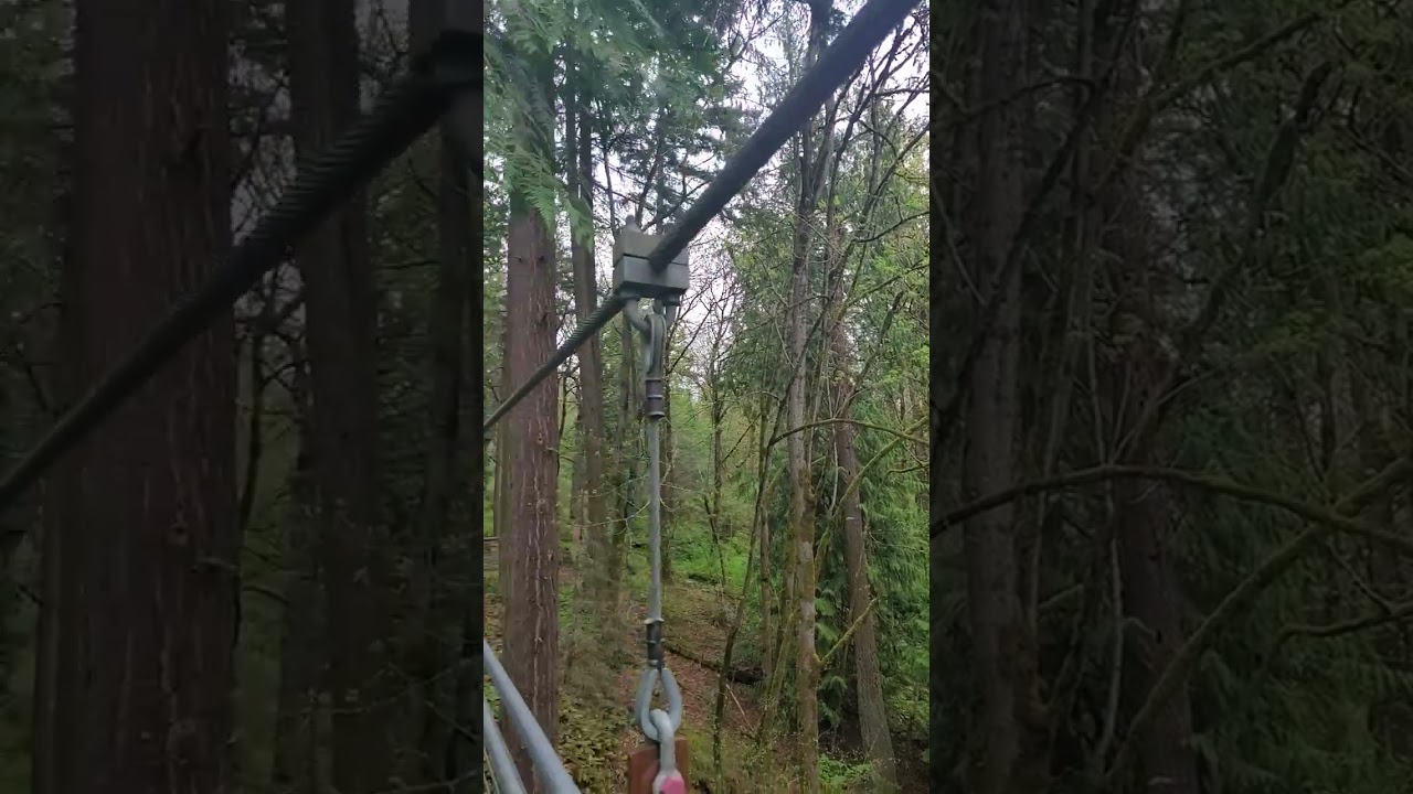 Ravine bridge
