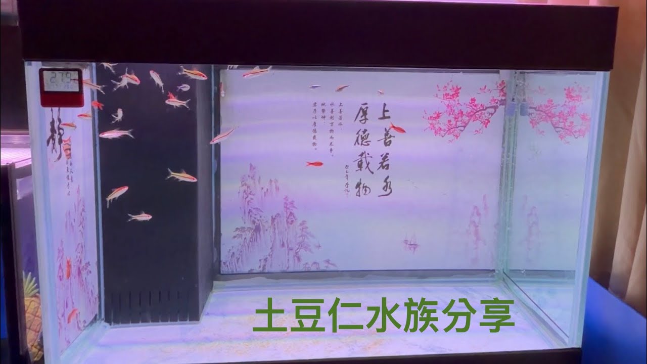 開箱中古三尺底濾缸 底濾缸選購介紹分享  土豆仁水族生活分享