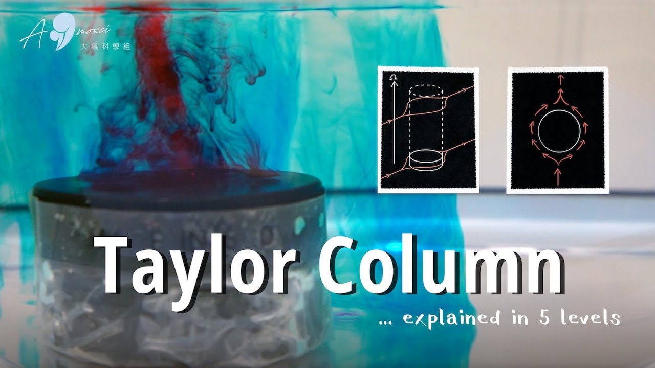Taylor Column