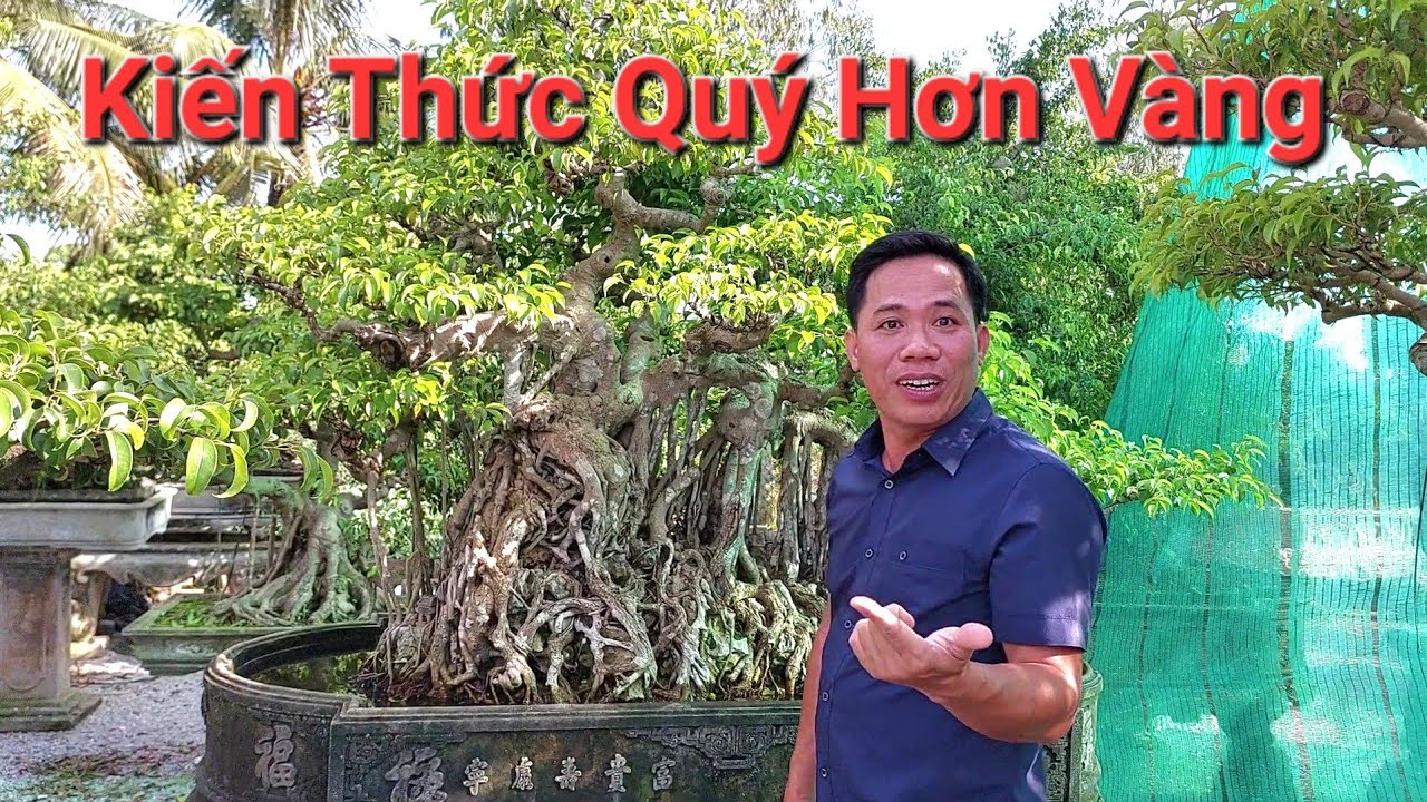 THĂM TƯ GIA CHỦ NHÂN TP * PHU THÊ DƯỠNG TỬ * là 1 trong 10 tp đặc biệt xuất sắc tại TL Bắc Ninh *