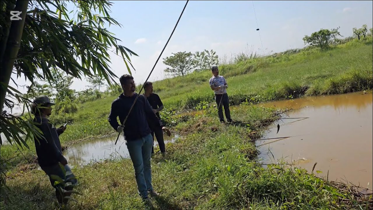 Local macha hiley fishing in local style with #sangaregang #fishing #fish 