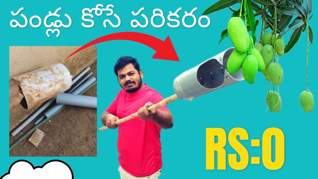 how to make fruit picker using pvc pipe in telugu | #fruit picker