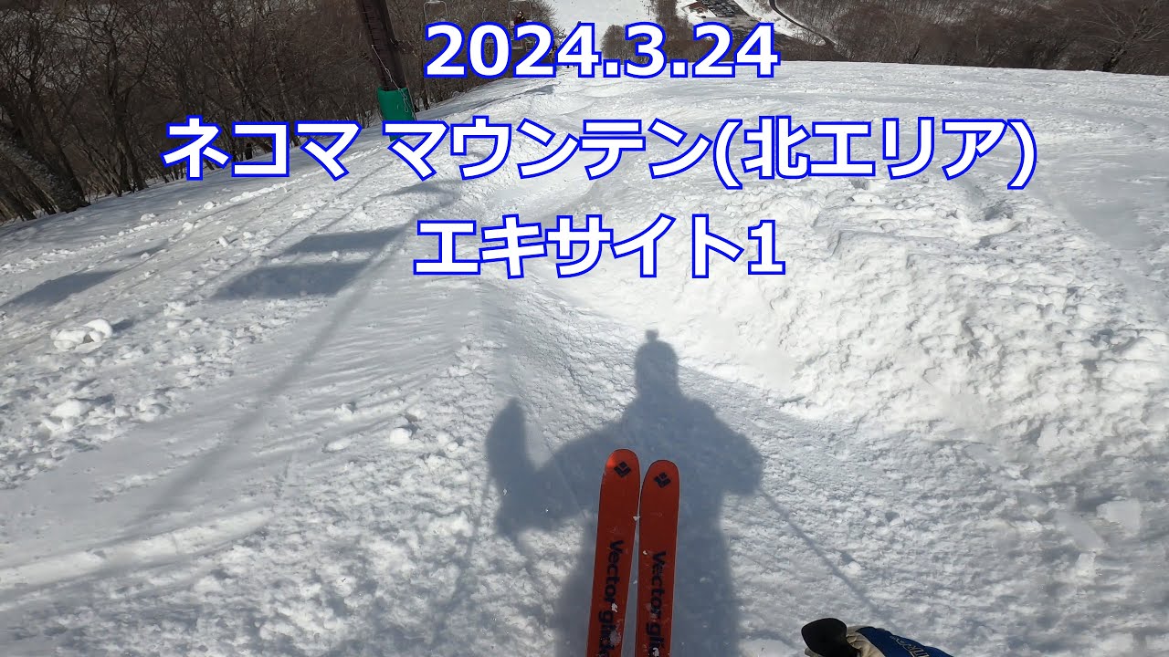 ネコマ マウンテン(北エリア) エキサイト1 2024.3.24(#スキー#コブ#モーグル#新雪#パウダー#会津#ネコマ#アルツ)