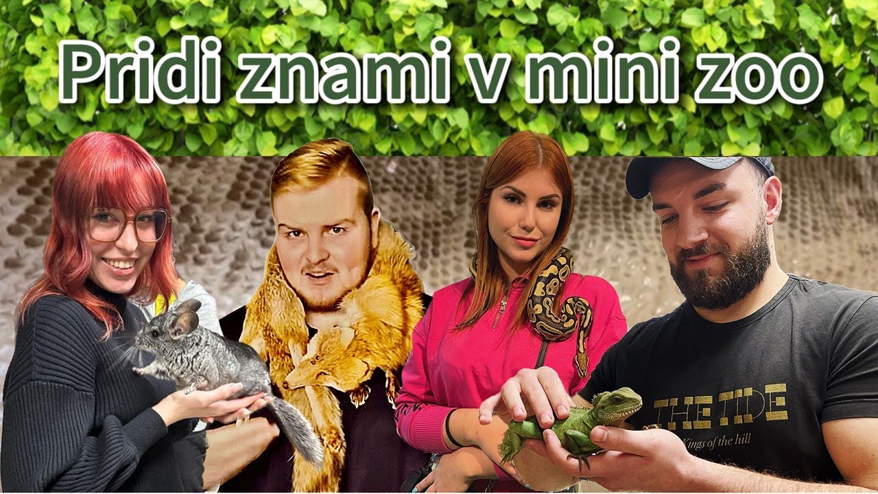 Pridi z nami v MINI ZOO na Bledu