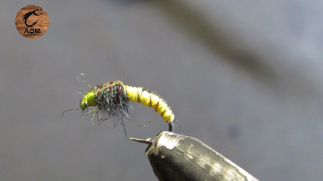 Atado de Larva de Caddis