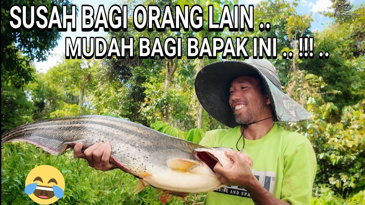 MUDAHNYA CARI IKAN LANGKA DISINI ,.. KAYA NYA  NEGERI INI .. 😍😍🥰🥰 ..