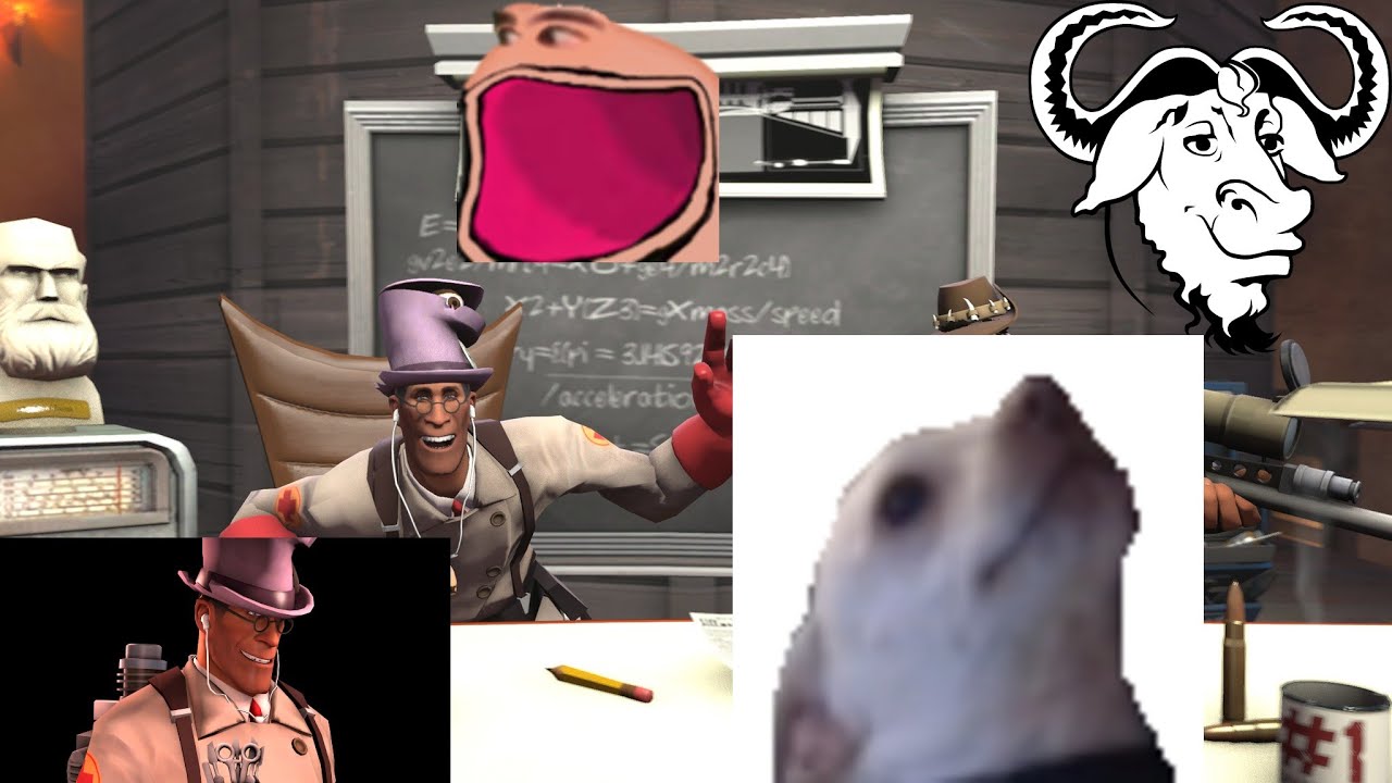 Twitch Clips and Highlights #1: Mr. Gnu's Favorite Clips From the First Couple of Months!