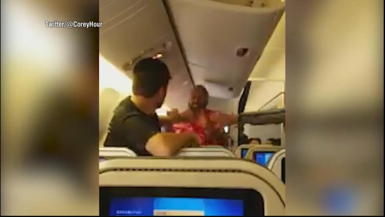Video shows two men fighting on flight from Japan to Los Angeles | ABC News