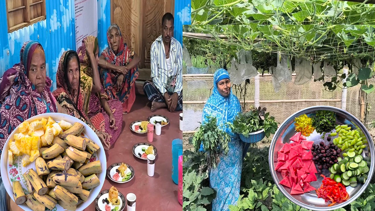 হঠাৎ করে আমাদের সবজি খেতে বন্যা হয়ে গেল সবাই দোয়া করবেন মায়েদের নিয়ে আমরা ইফতার আয়োজন করলাম