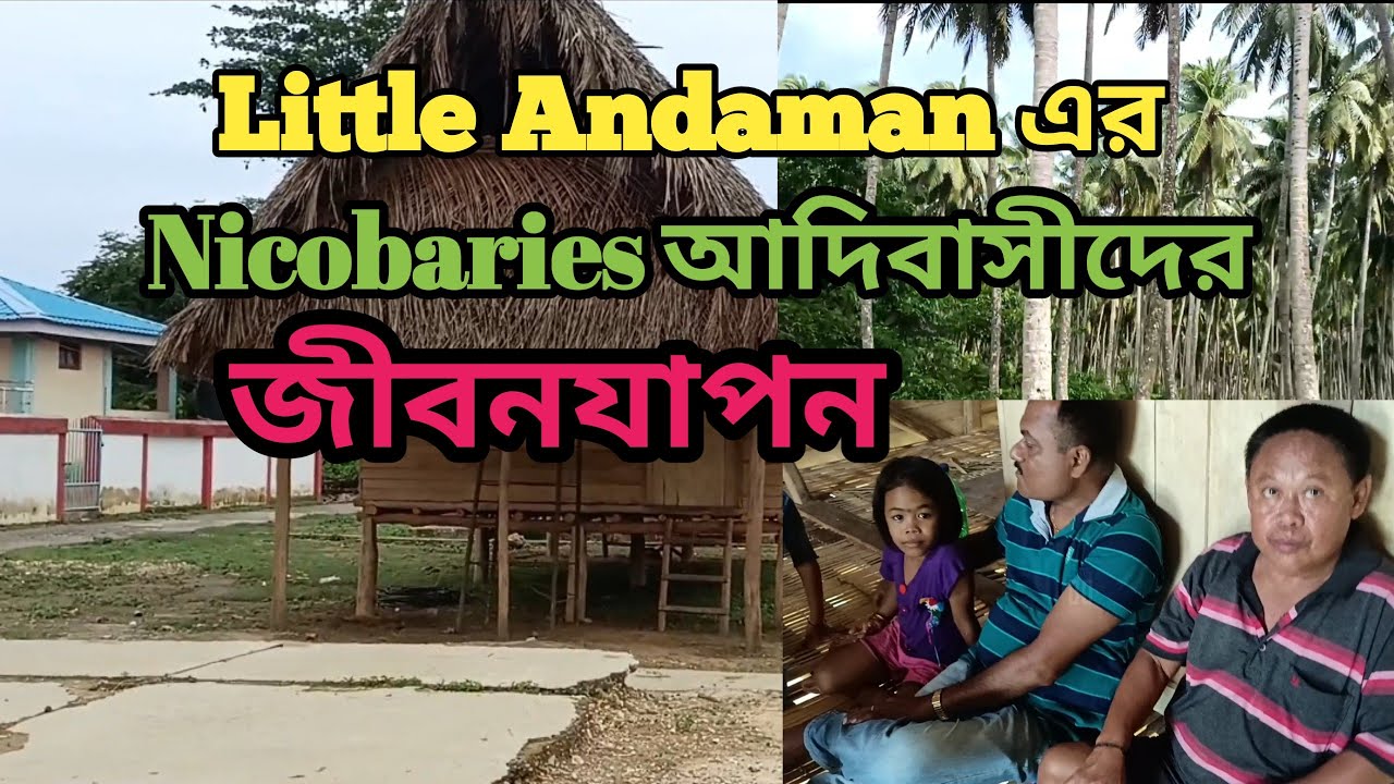 Little Andaman এর Nicobaries আদিবাসীদের জীবনযাপন #viral #andaman #triballifestyle #vlogs #trending