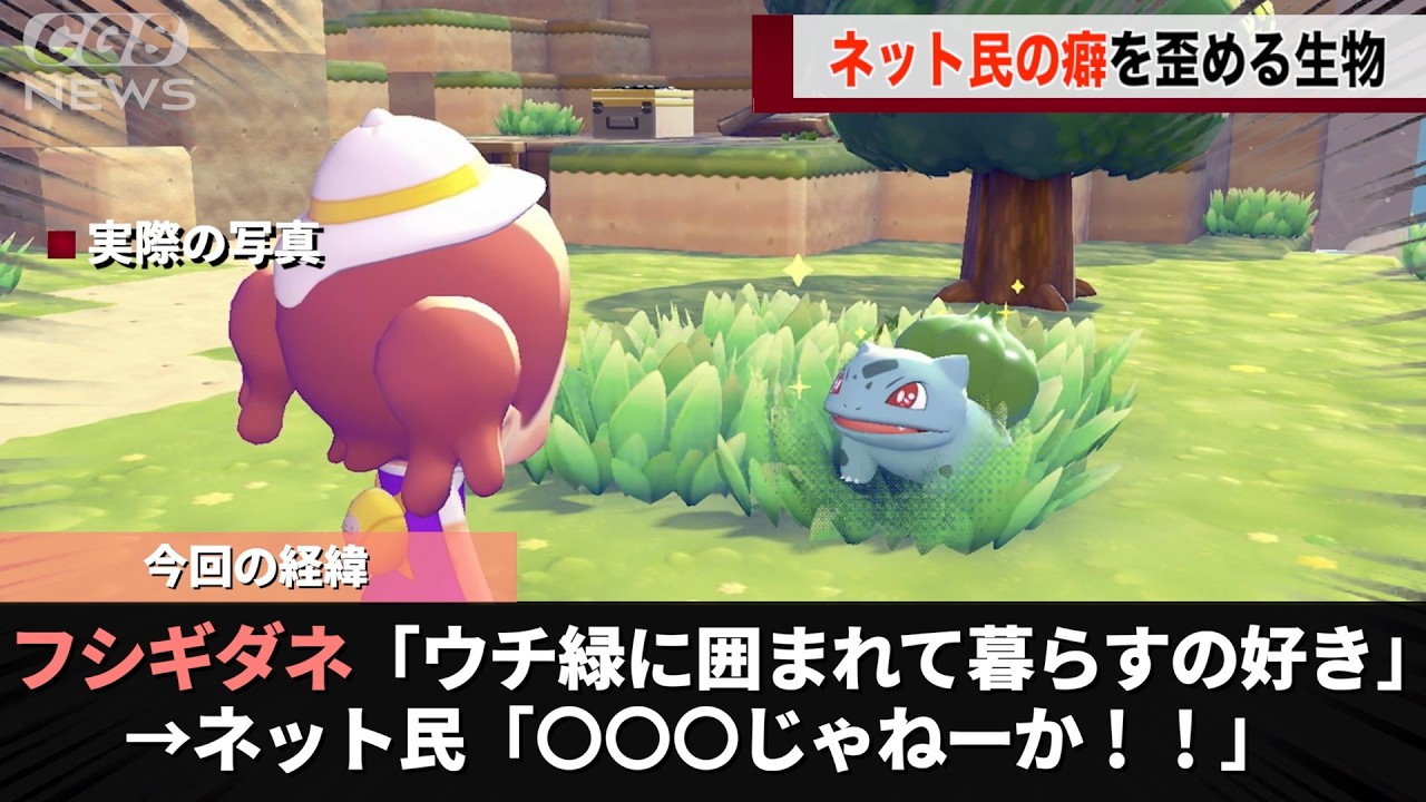 ポケモンの新作のフシギダネ、あまりにも〇〇〇っぽいということが話題になるwwww