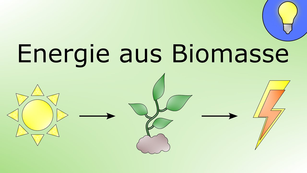 Energie aus Biomasse