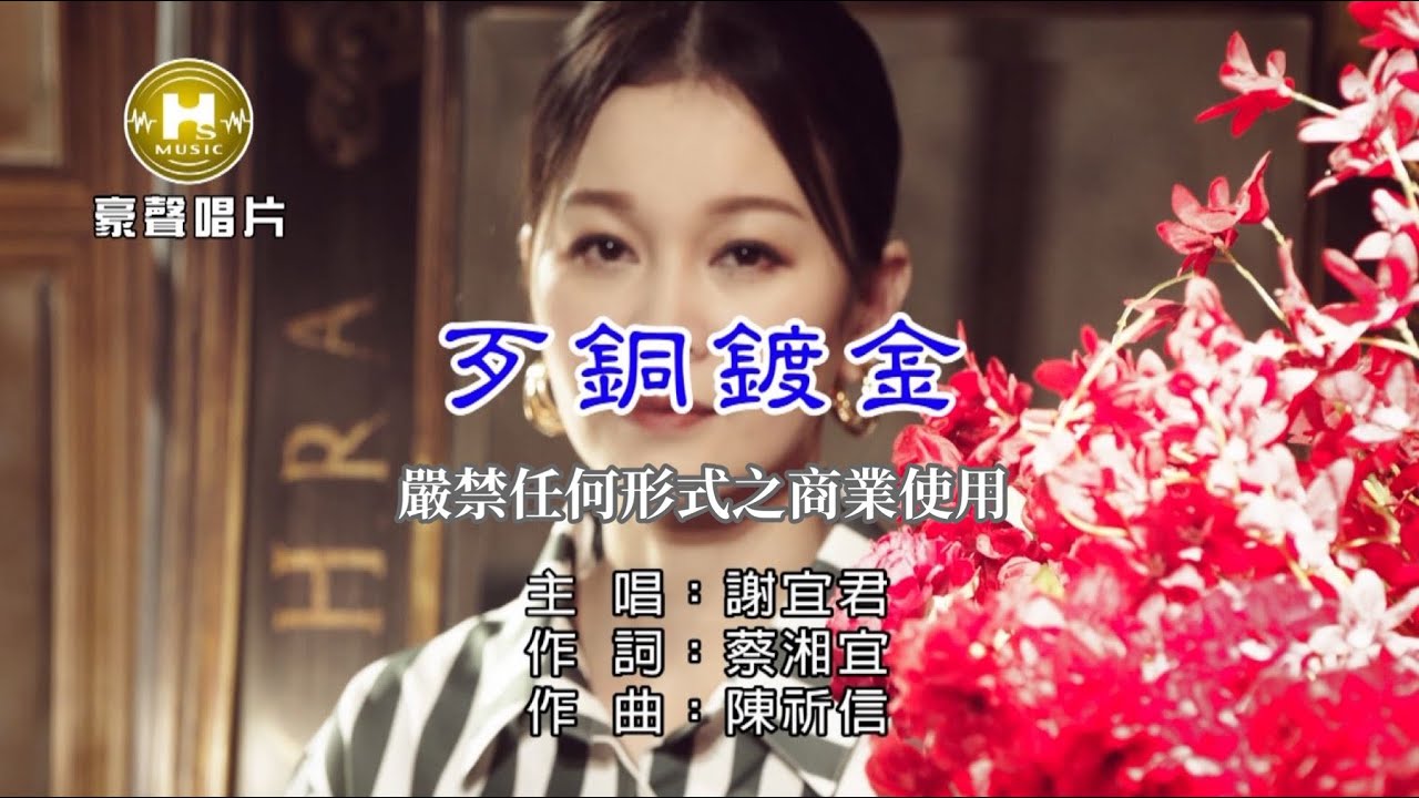 謝宜君-歹銅鍍金【KTV導唱字幕】1080p HD
