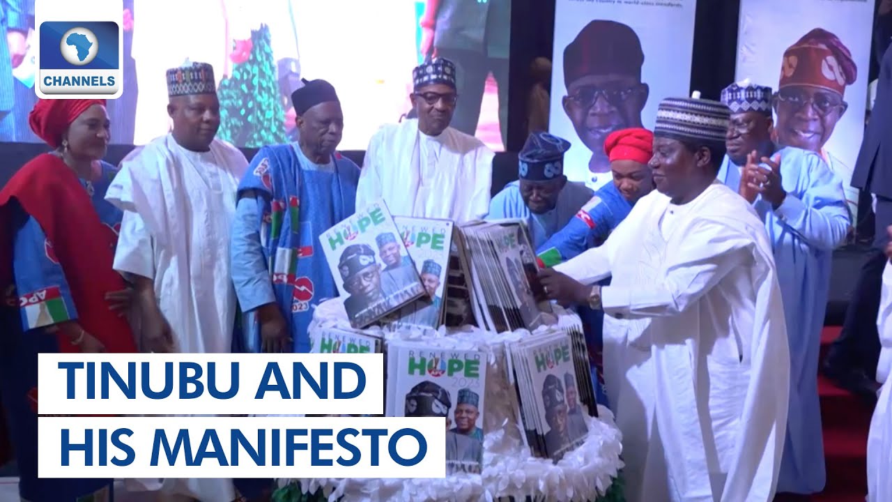 Reviewing The Manifesto Of The President-Elect Bola Tinubu | Lunchtime Politics