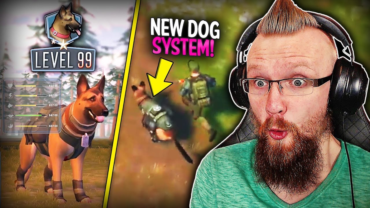 NEW SECRET DOG UPDATE IN WORKS! (Gameplay Footage) - Last Day on Earth: Survival