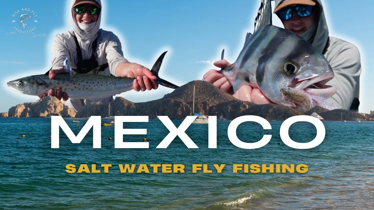 Salt Water Fly Fishing For Rooster Fish: Cabo San Lucas