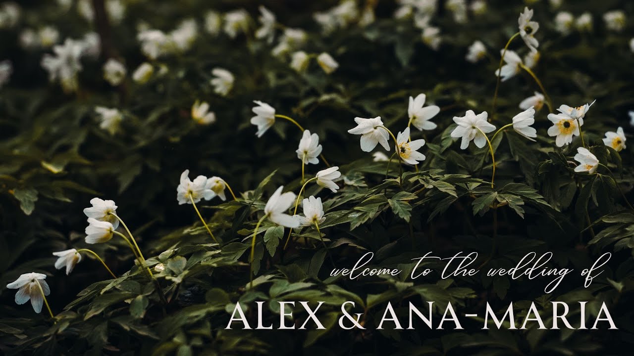 2025.09.20 Alex & Ana-Maria Pop's Wedding