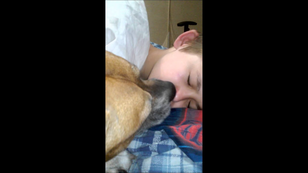 Dog licking face