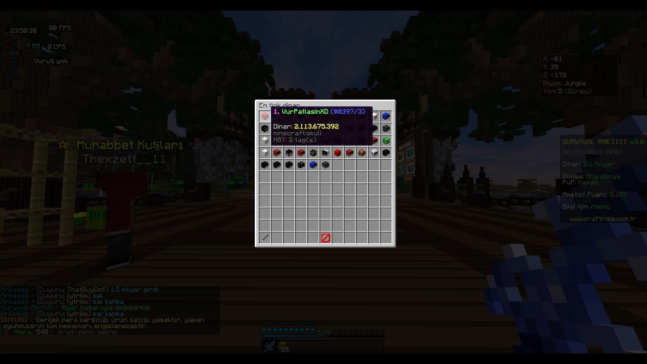 Bir Gecede 2.5mr Vurgun ve Buz Kesme  - Surival Ametist Pvp