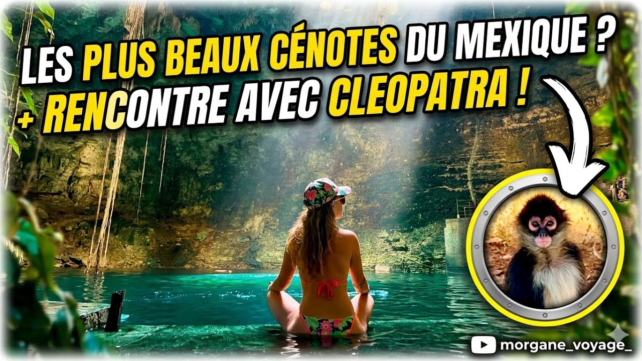Cenotes et Cleopatra MEXIQUE 🇲🇽 #cenotes #maya #mexico #travelvlogs #viajarpormexico #voyages 