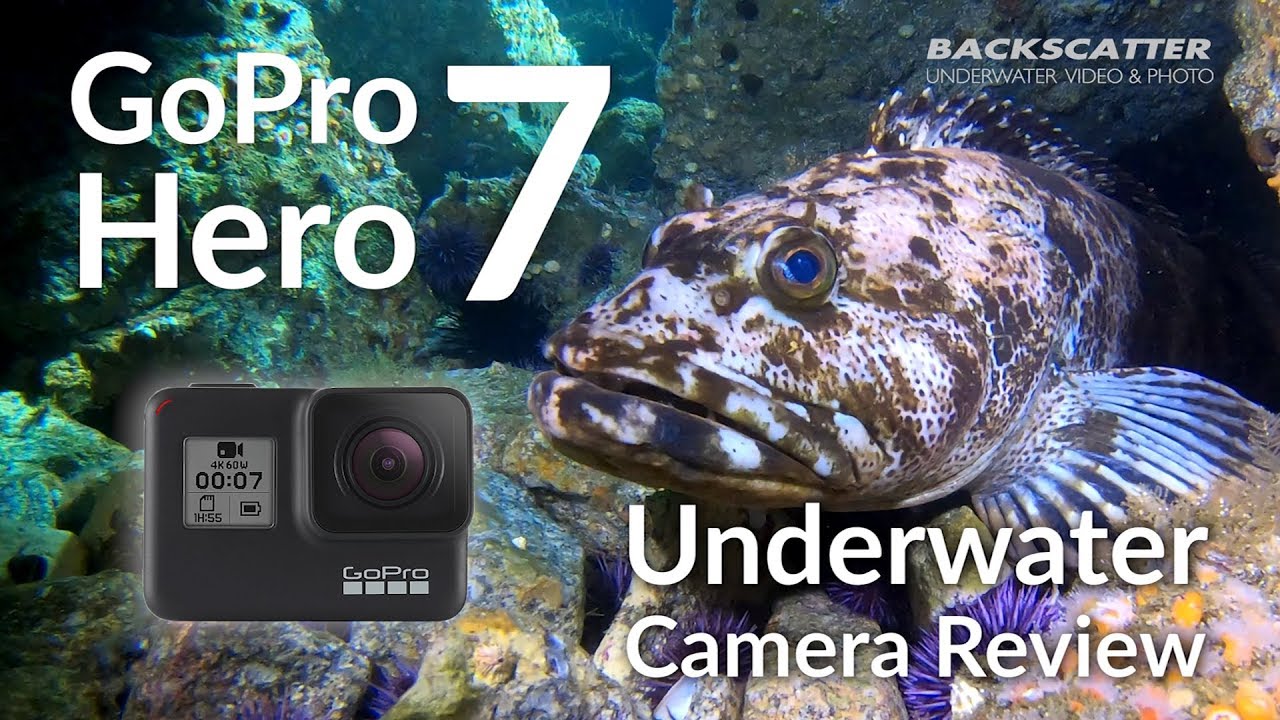 GoPro Hero 7 Underwater Camera Review