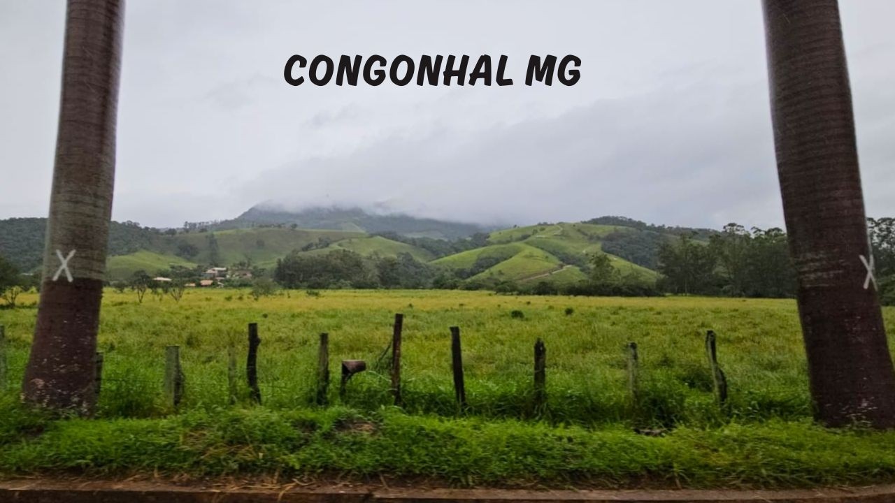 Congonhal MG - Passeio da Rota 408 pelo Estado de Minas Gerais - 16° Temp - Ep 38