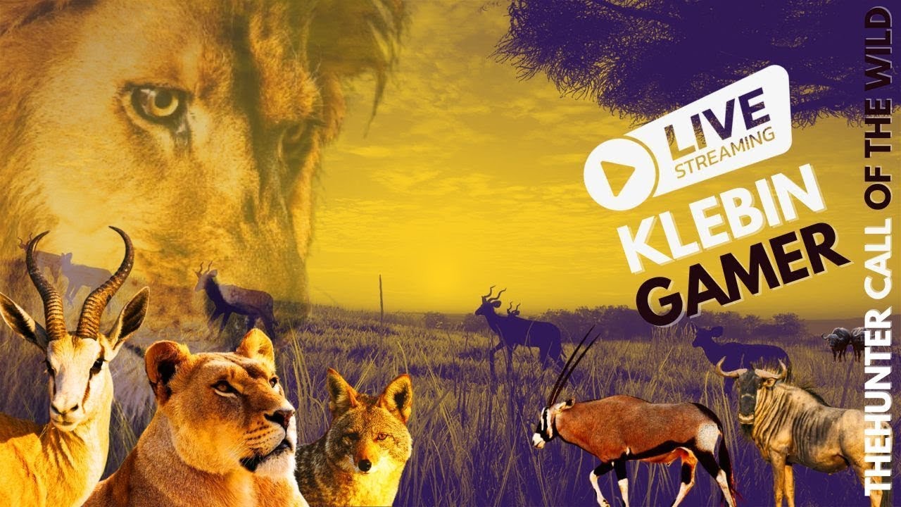 THEHUNTER CALL OF THE WILD, CAÇANDO PELAS RESERVAS