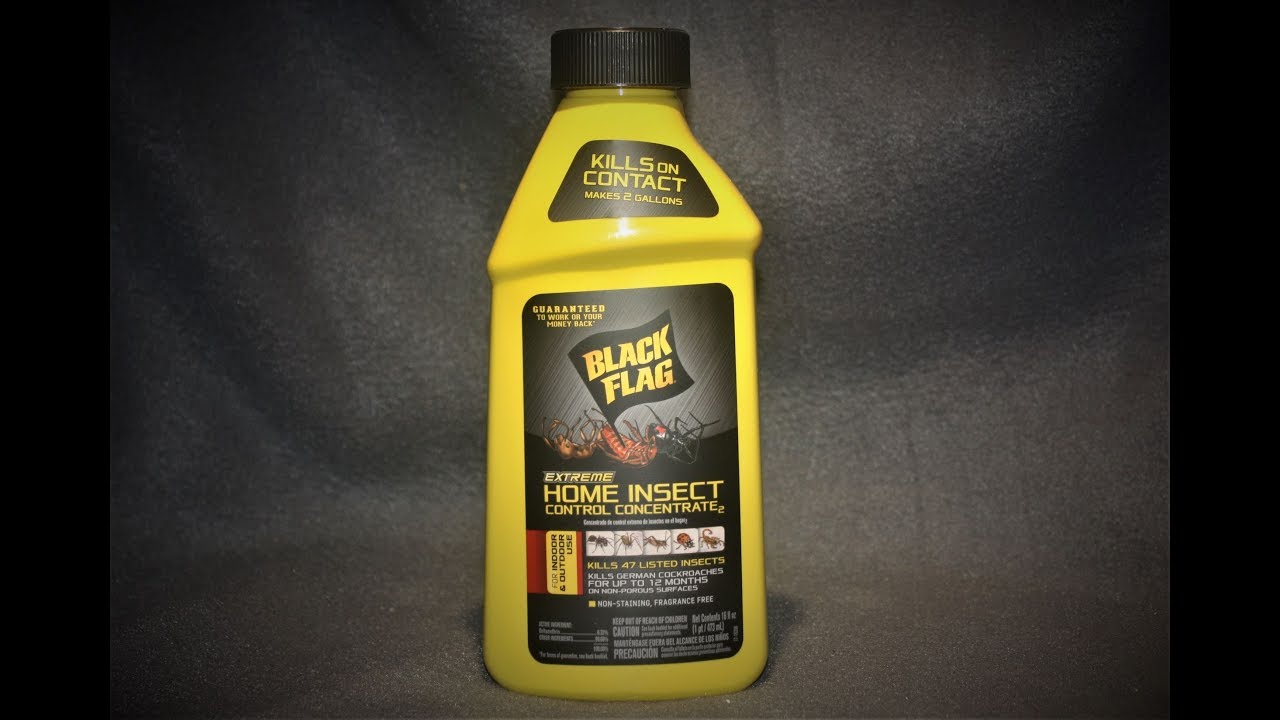 Black Flag (Extreme Home Insect Control)