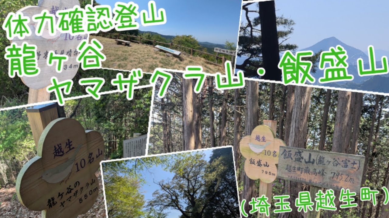 体力確認登山　龍ヶ谷のヤマザクラ山・飯盛山