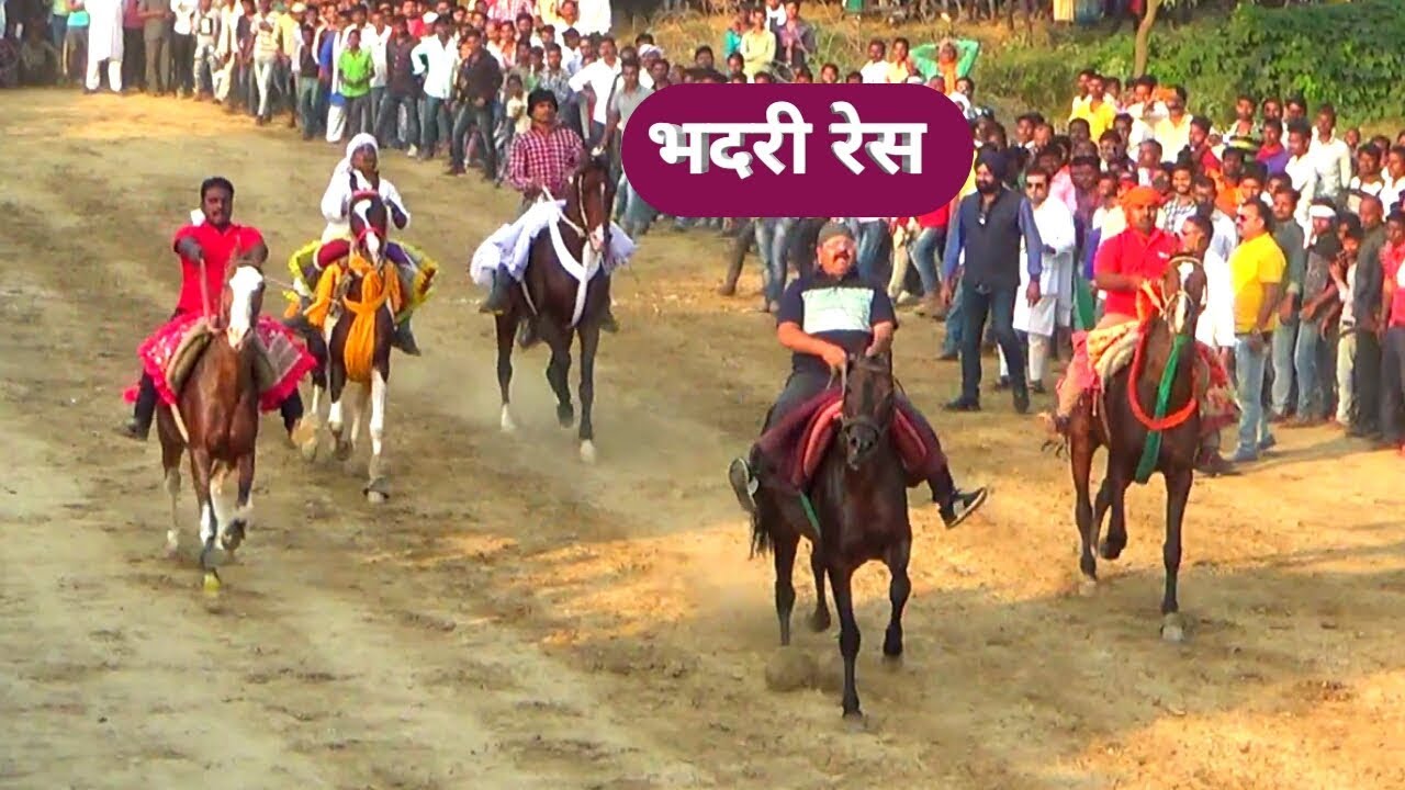 BHADARI SEMI FINAL 1 RAJA BHAIYA HORSE RACE BABUGANJ PRATAPGARH